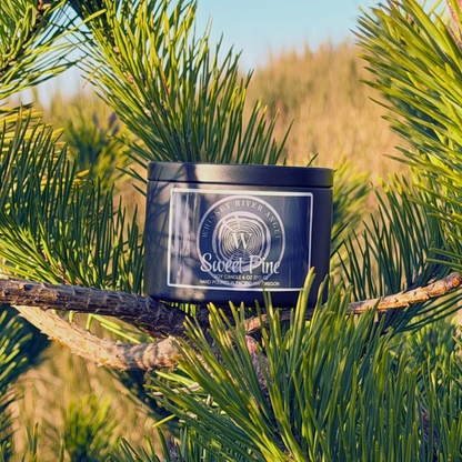 Sweet Pine Candle | Fresh Pine Soy Candle – Clean, Natural Home Fragrance