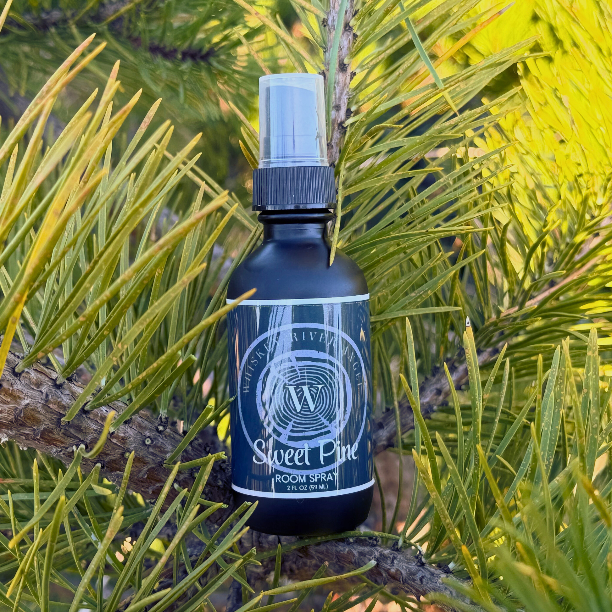 Sweet Pine room spray with pine and eucalyptus scent in a natural forest setting